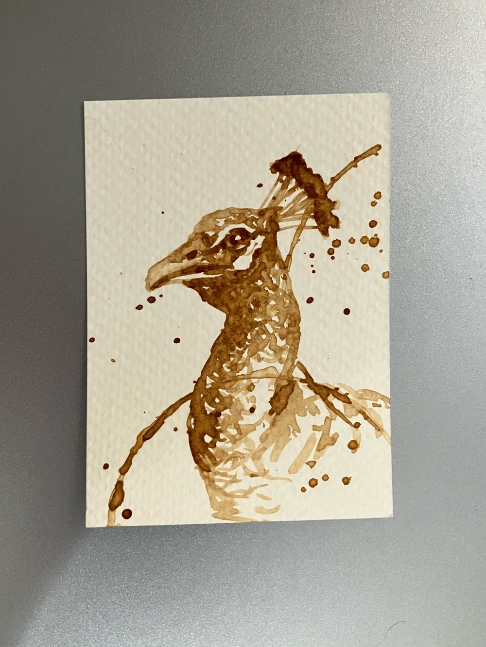 ORIGINAL coffee peacock painting bird art miniature realism ACEO artwork USA